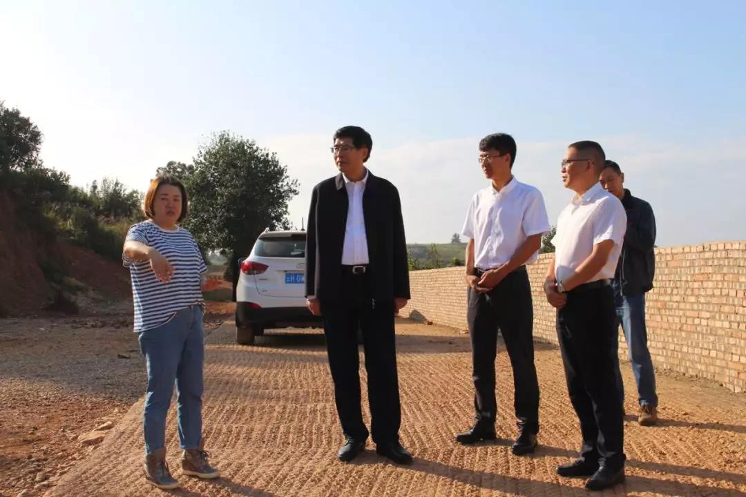3118云顶集团·(中国)股份有限公司