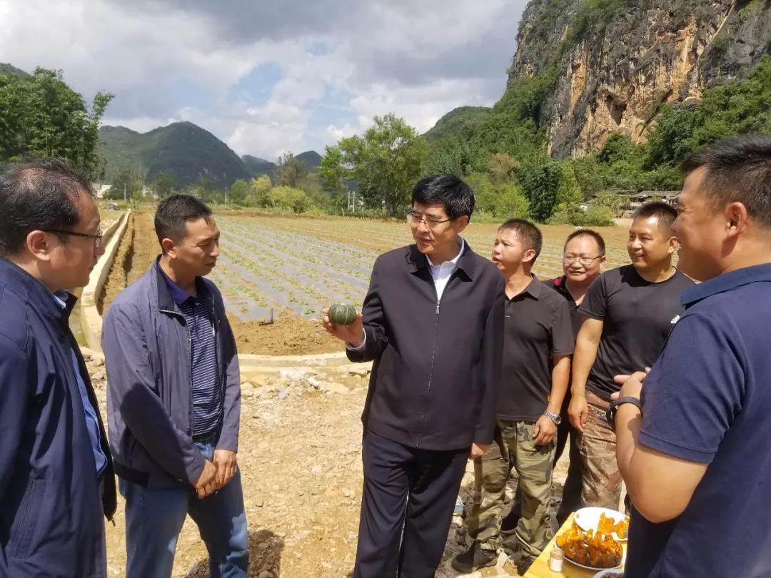 3118云顶集团·(中国)股份有限公司