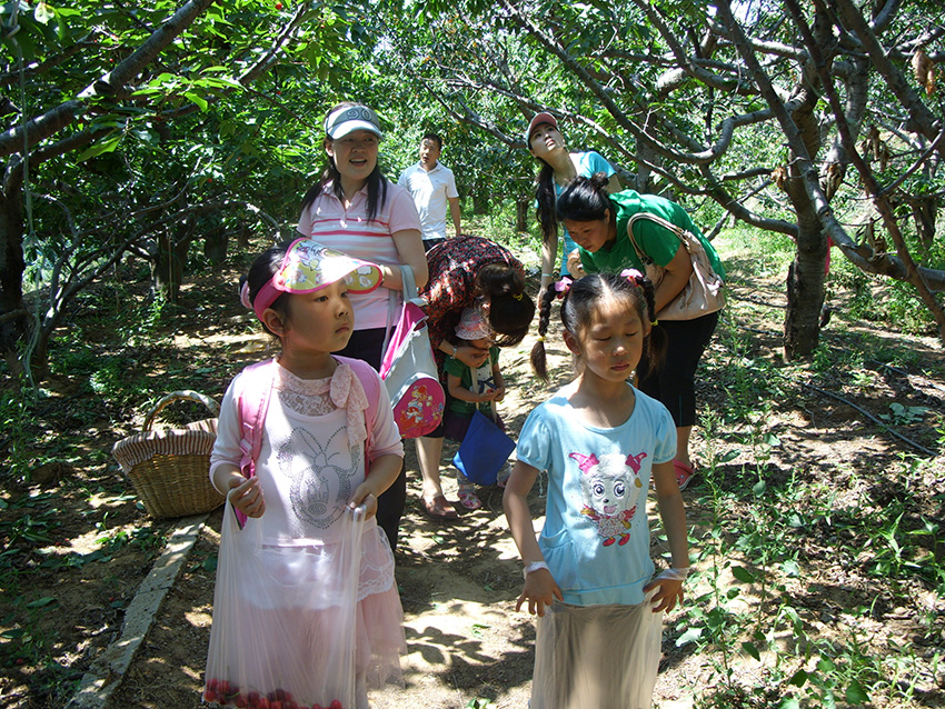 2011-ũ�����Ž�