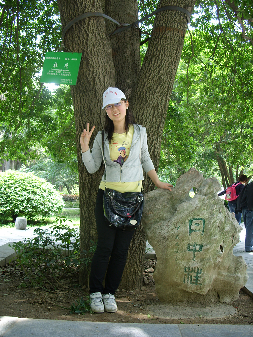 2010-�����Ž�