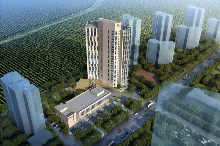 ����������ò���ϣ�������־Ƶ깫Ԣ��Ŀ��������ⶥ��